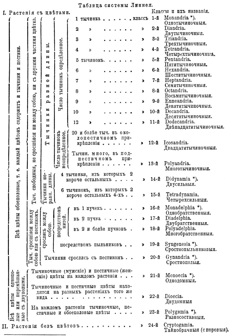 ЭСБЕ/Ботаника — Энциклопедия Руниверсалис